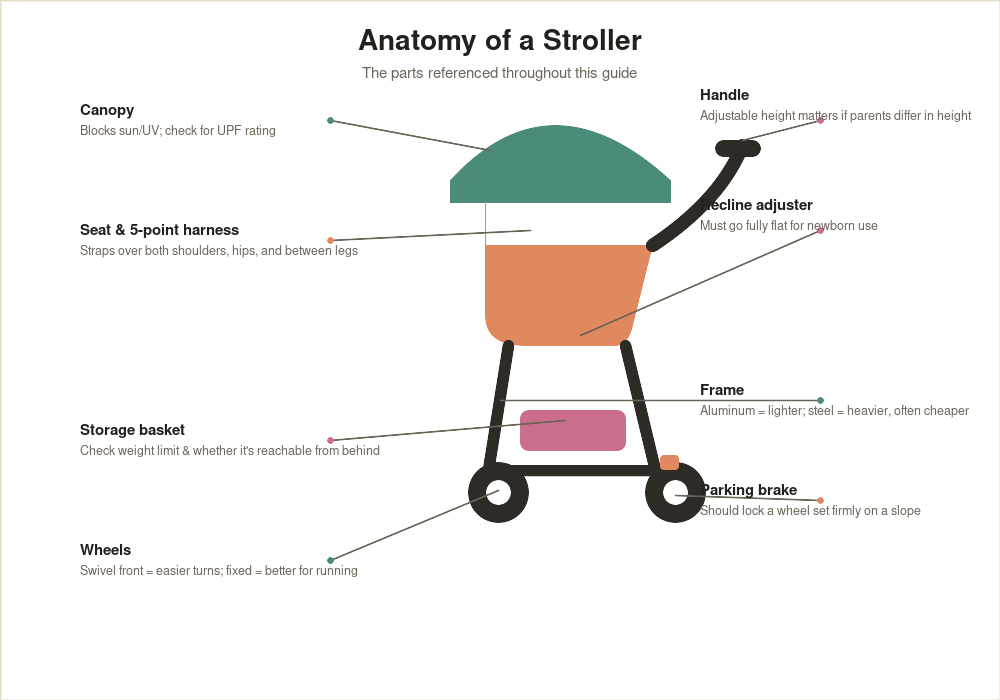 Labeled diagram of stroller parts